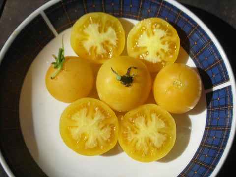 Wapsipinicon Peach Tomato
