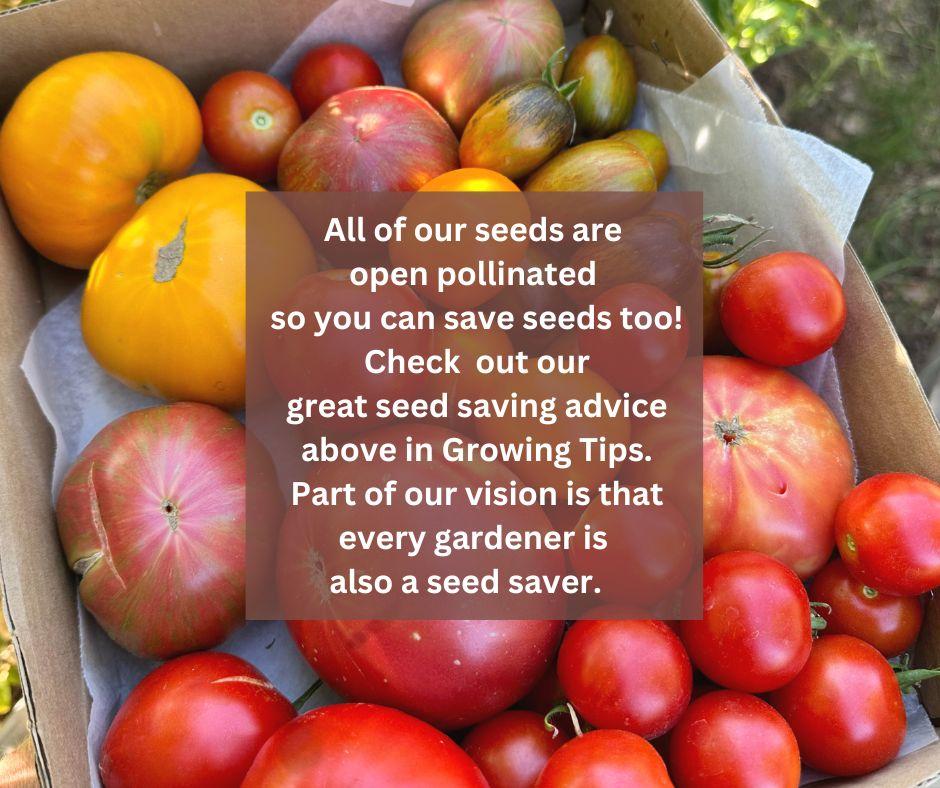Check out this info all about seed saving!